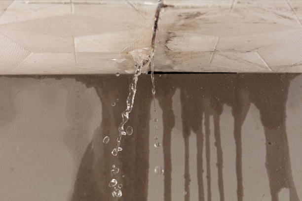 Professional Water Damage Inspection technician working in Middlesex, NJ
